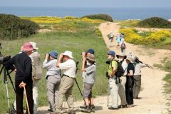 Karpaz-bird-watching-600x600